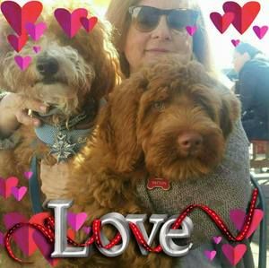 Meet your Posher, Patrizia